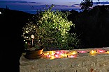 Garten bei Nacht